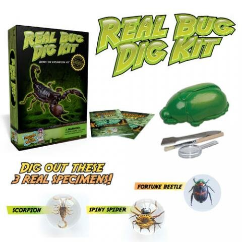 Real Insect Excavation Kit 